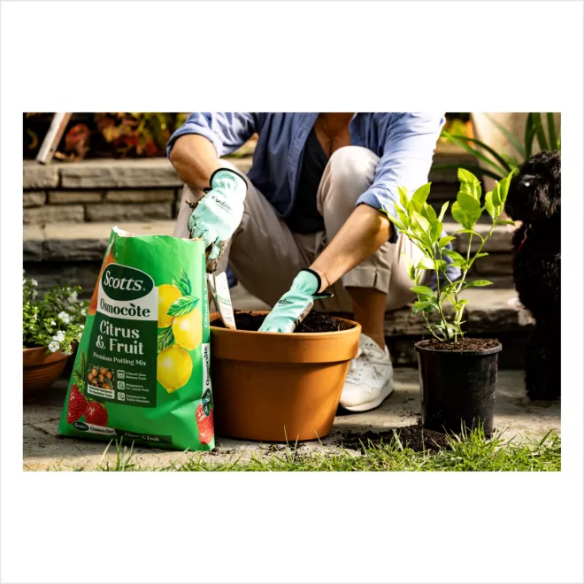 Scotts Osmocote® Citrus & Fruit Potting Mix image 6