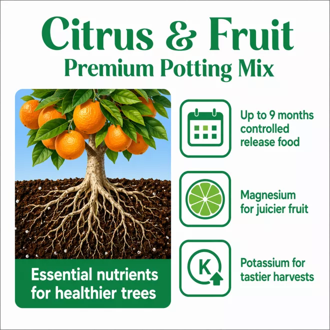 Scotts Osmocote® Citrus & Fruit Potting Mix image 3