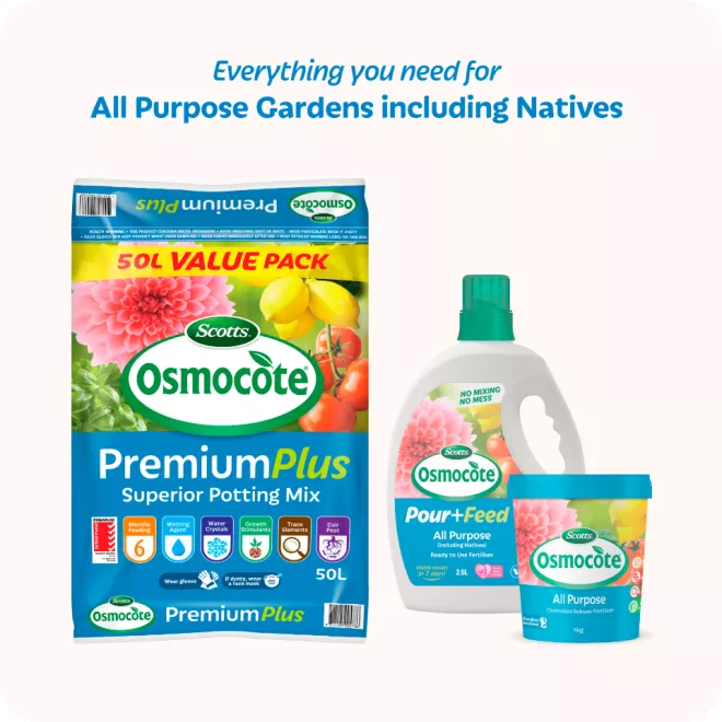 Scotts Osmocote® Premium Plus Superior Potting Mix image 7