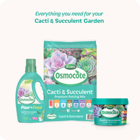 Scotts Osmocote® Controlled Release Fertiliser: Cacti & Succulent image 7