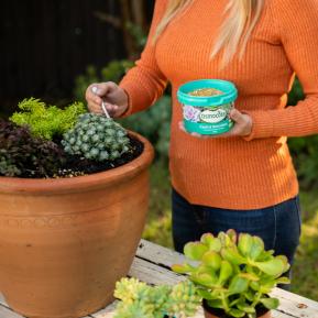 Scotts Osmocote® Controlled Release Fertiliser: Cacti & Succulent image 5