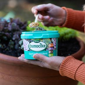 Scotts Osmocote® Controlled Release Fertiliser: Cacti & Succulent image 4