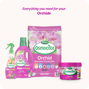 Scotts Osmocote® Controlled Release Fertiliser: Orchid image 5
