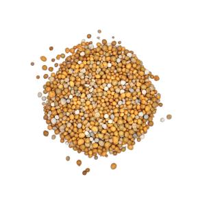 Scotts Osmocote Controlled Release Fertiliser for Indoor Plants image 3
