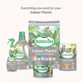 Scotts Osmocote Controlled Release Fertiliser for Indoor Plants image 7