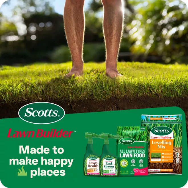 Scotts Lawn Builder Levelling Mix image 7