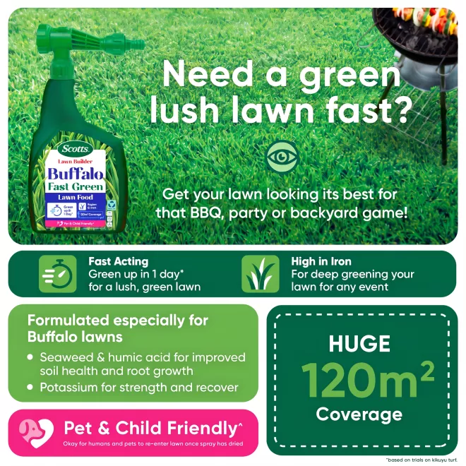 Scotts Lawn Builder Fast Green Buffalo image 3