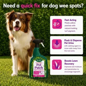 Scotts Lawn Builder Pet Patch image 4