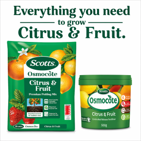 Scotts Osmocote® Citrus & Fruit Potting Mix image 9