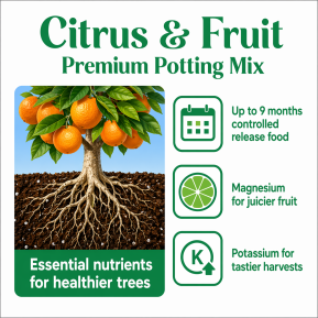 Scotts Osmocote® Citrus & Fruit Potting Mix image 3