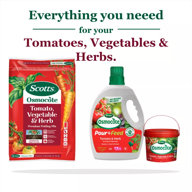 Scotts Osmocote® Tomato, Vegetable & Herb Potting Mix image 8