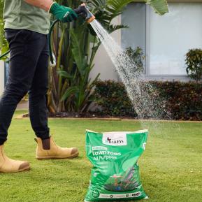 Baileys Brilliance Lawn Food All Purpose (WA Only) image 8