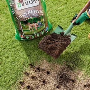 Baileys Lawn Reviver (WA Only) image 4