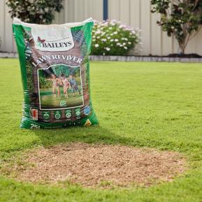Baileys Lawn Reviver (WA Only) image 6