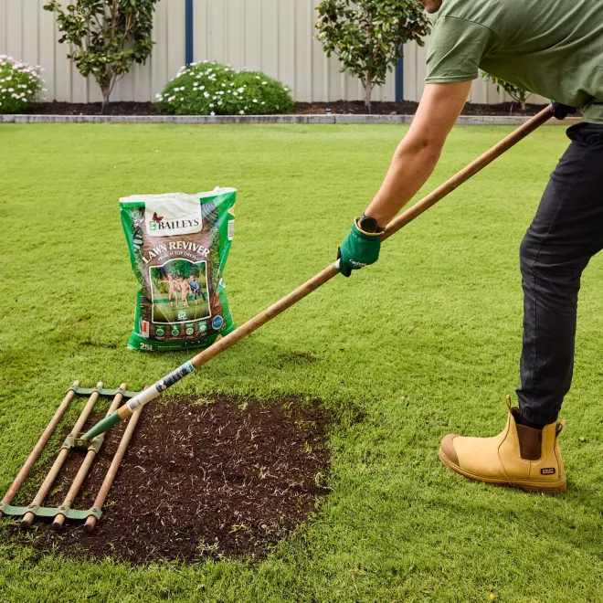 Baileys Lawn Reviver (WA Only) image 5
