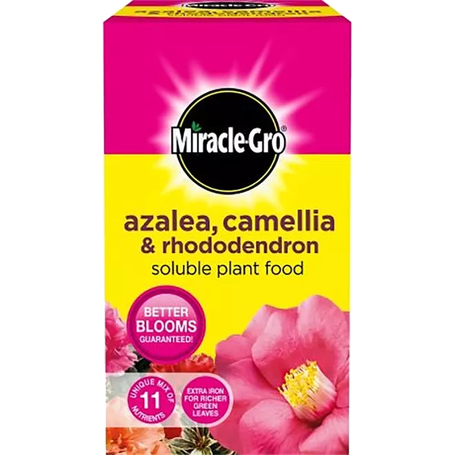 Miracle-Gro® Azalea, Camellia & Rhododendron Soluble Plant Food main image