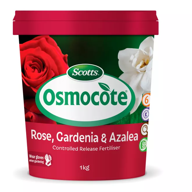 Scotts Osmocote® Controlled Release Fertiliser: Roses, Gardenias, Azaleas & Camellias main image