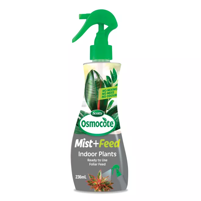 Scotts Osmocote Mist+Feed for Indoor Plants main image