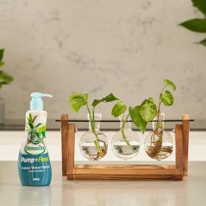Scotts Osmocote Pump+Feed for Indoor Water Plants image 3