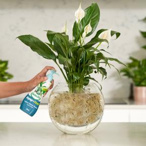 Scotts Osmocote Pump+Feed for Indoor Water Plants image 4