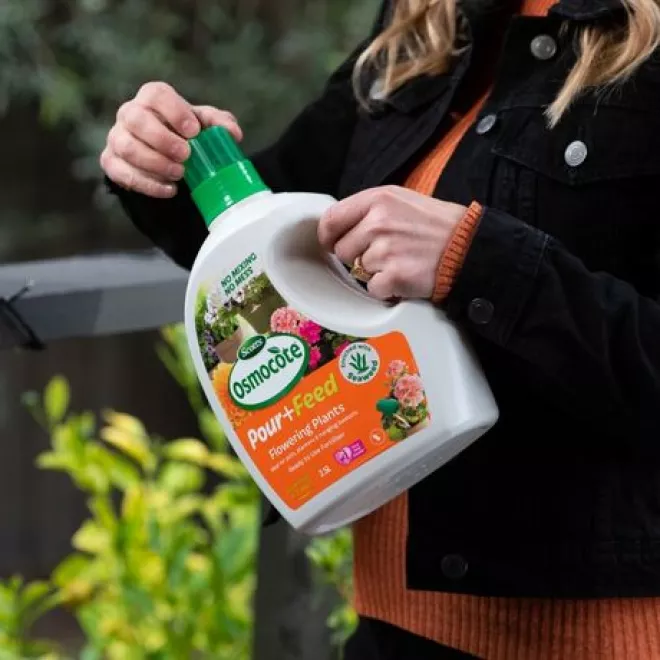 Scotts Osmocote Pour+Feed for Flowering Plants image 4