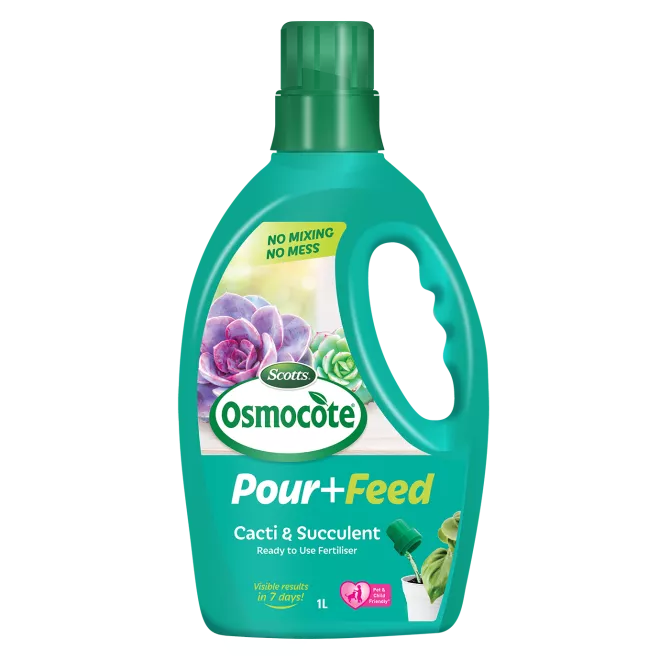 Scotts Osmocote® Pour+Feed Cacti & Succulents main image