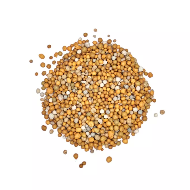 Scotts Osmocote Controlled Release Fertiliser for Indoor Plants image 3