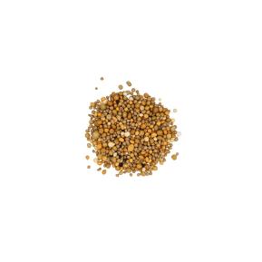 Scotts Osmocote® Controlled Release Fertiliser: All Purpose image 3