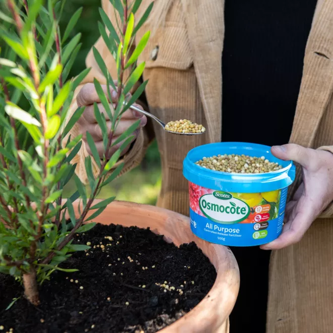 Scotts Osmocote® Controlled Release Fertiliser: All Purpose image 5
