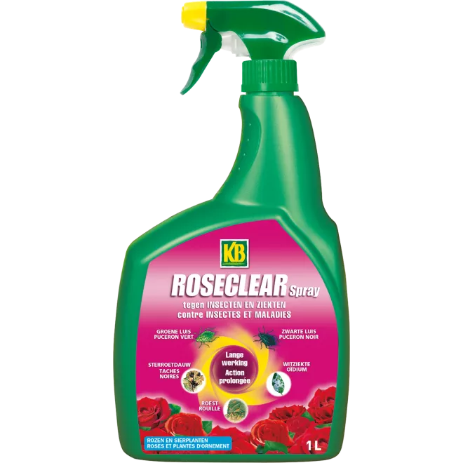 KB Roseclear Spray main image