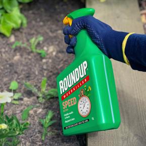 Roundup® TOTAL Prêt à l'emploi pour allées et terrasses image 2