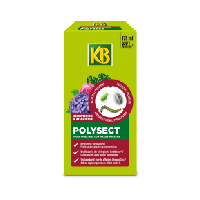 KB® Polysect Concentraat main image