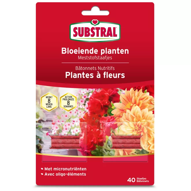 Substral Bâtonnets Nutritifs Pour Plantes À Fleurs main image