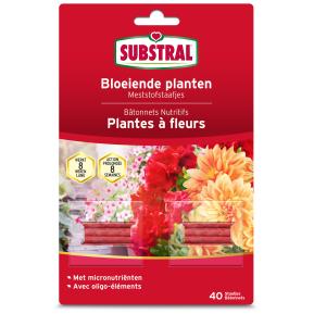 Substral Bâtonnets Nutritifs Pour Plantes À Fleurs main image