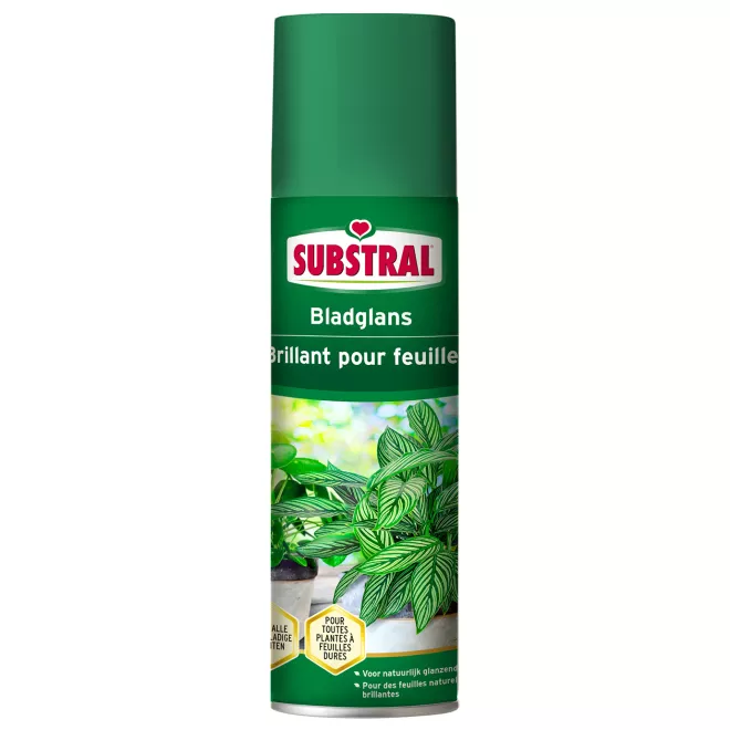 Substral Brillant Pour Feuilles main image