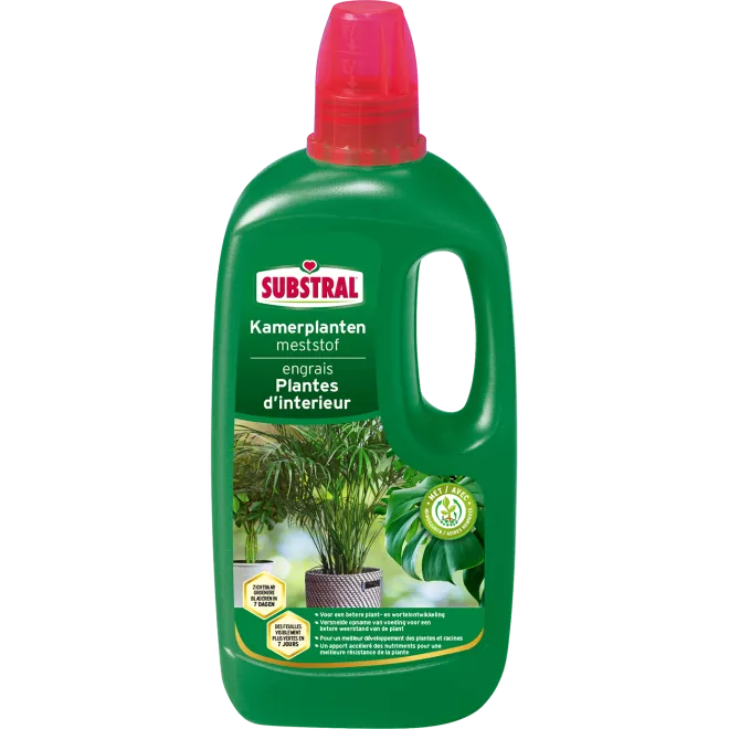 Substral Engrais Pour Plantes D’Intérieur main image