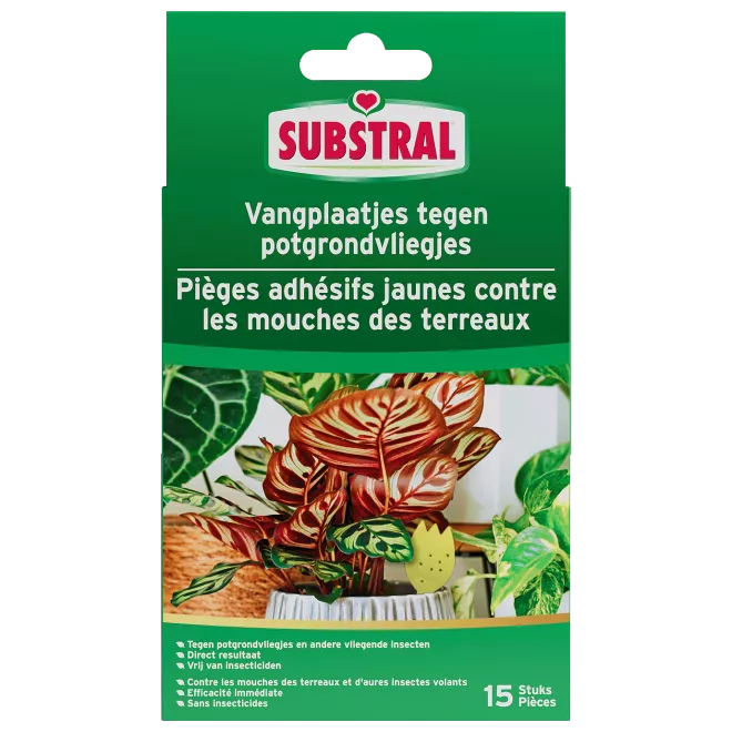 Substral Vangplaatjes tegen potgrondvliegjes main image