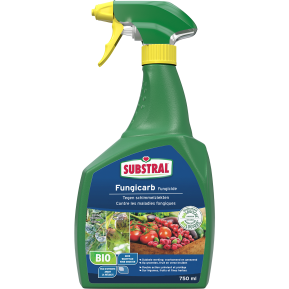 Substral® Fungicarb | Tegen schimmels in de moestuin main image