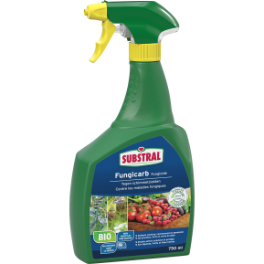 Substral® Fungicarb | Tegen schimmels in de moestuin image 2