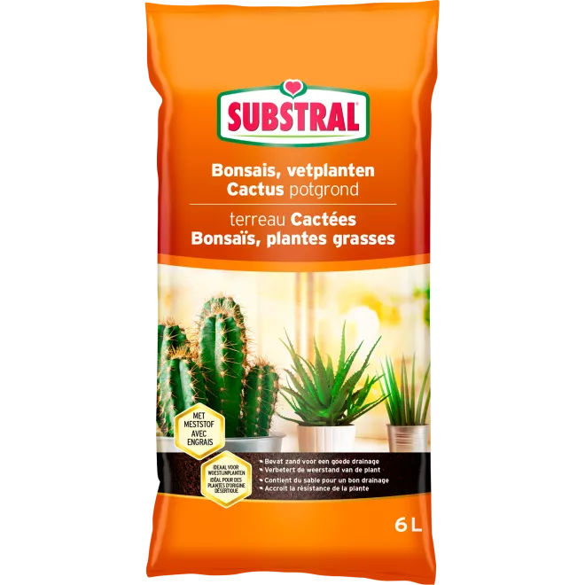 Substral Terreau Cactus, Bonsaïs Et Plantes Grasses main image