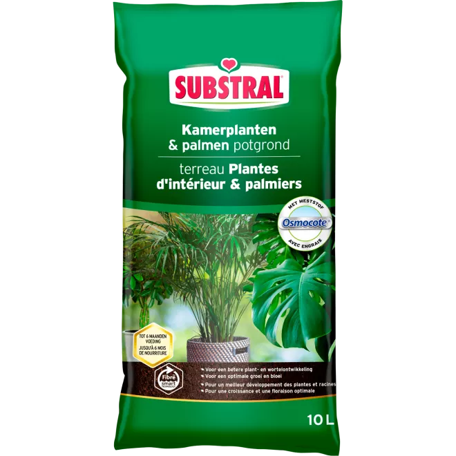 Substral Terreau Pour Plantes D’Intérieur Et Palmiers main image