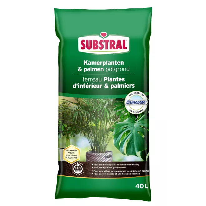 Substral Terreau pour Plantes d'Intérieur et Palmiers main image