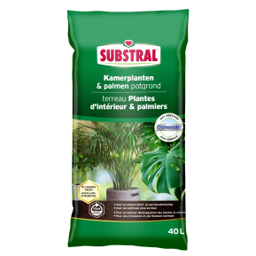 Substral Terreau pour Plantes d'Intérieur et Palmiers main image
