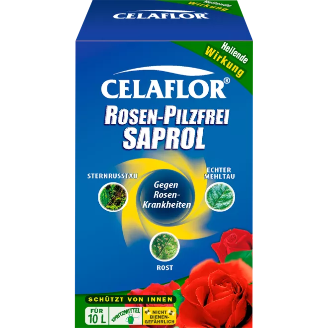 Celaflor® Rosen-Pilzfrei Saprol Konzentrat main image