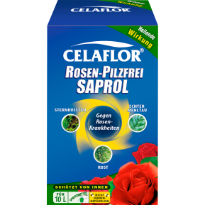 Celaflor® Rosen-Pilzfrei Saprol Konzentrat main image