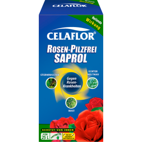 Celaflor® Rosen-Pilzfrei Saprol Konzentrat main image