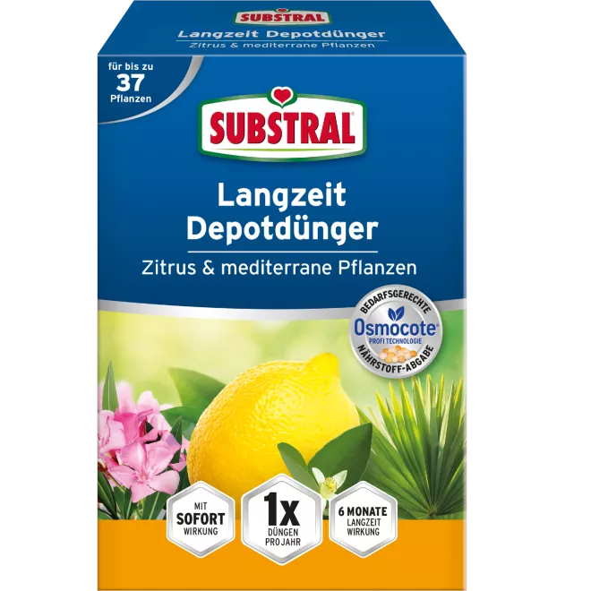 SUBSTRAL® Langzeit Depotdünger Zitrus und mediterrane Pflanzen 750 G image 2