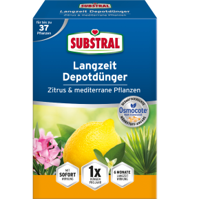 SUBSTRAL® Langzeit Depotdünger Zitrus und mediterrane Pflanzen 750 G image 2