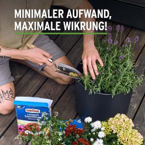 SUBSTRAL® Langzeit Depotdünger Balkonblumen  image 4