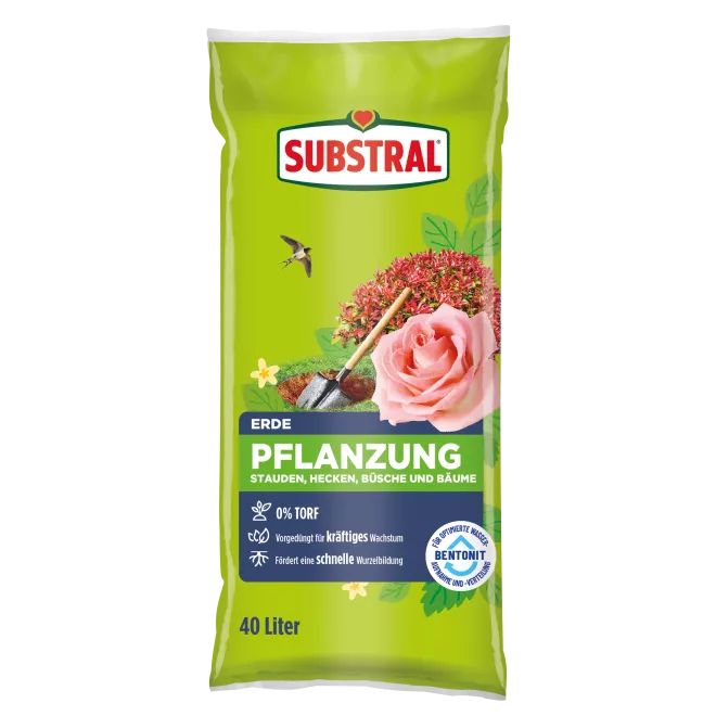Substral® Erde Pflanzung 40 L main image